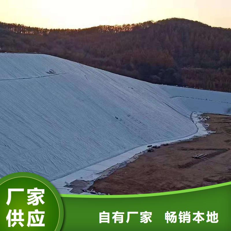三维复合排水网【HDPE土工膜】多种场景适用