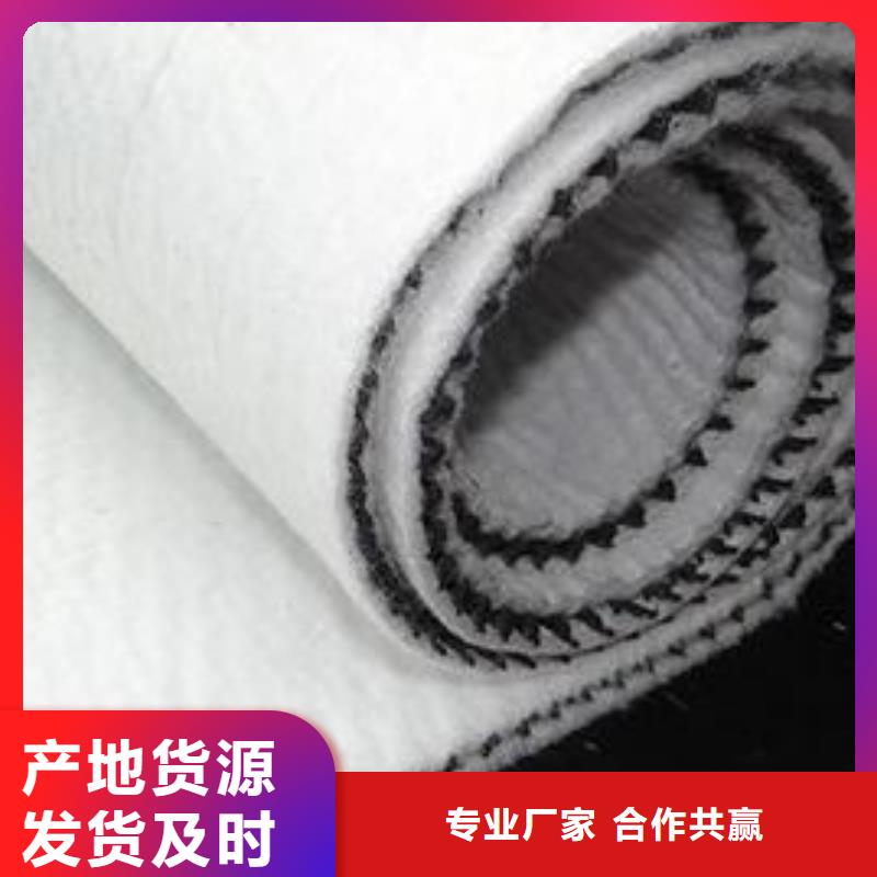 三维复合排水网-hdpe士工膜可放心采购
