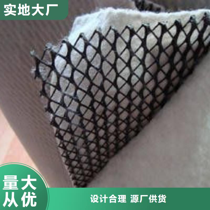 三维复合排水网【HDPE土工膜】多种场景适用