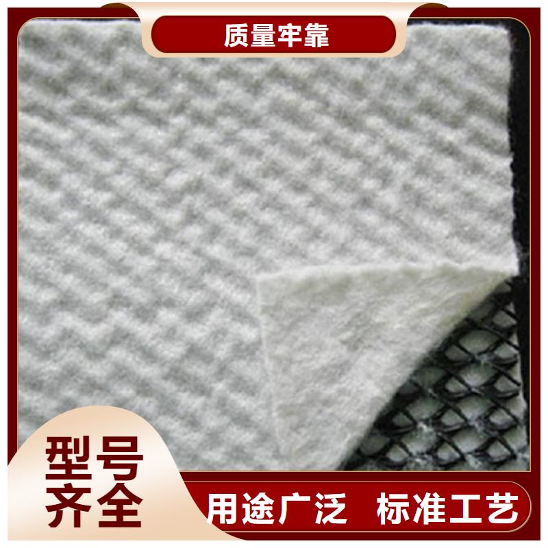 三维复合排水网-hdpe士工膜可放心采购