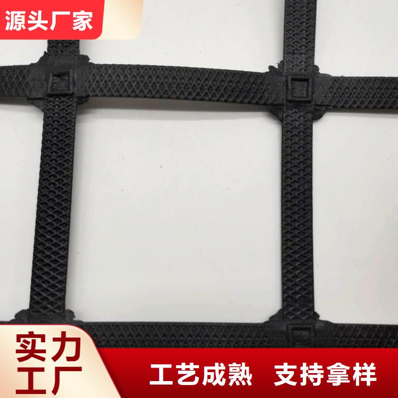 【钢塑土工格栅】三维土工网垫厂家