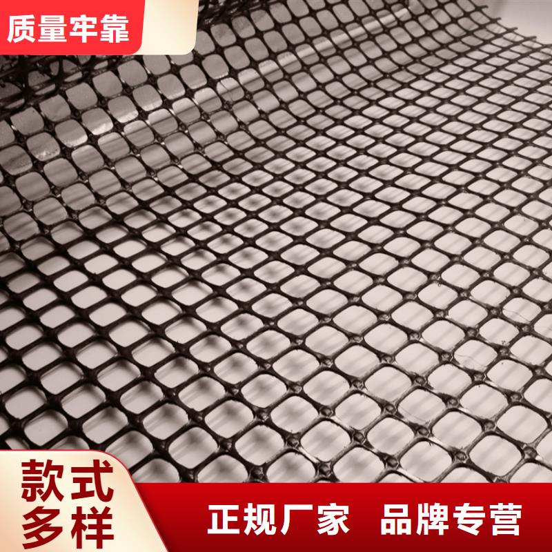 塑料土工格栅排水沟盖板直销厂家