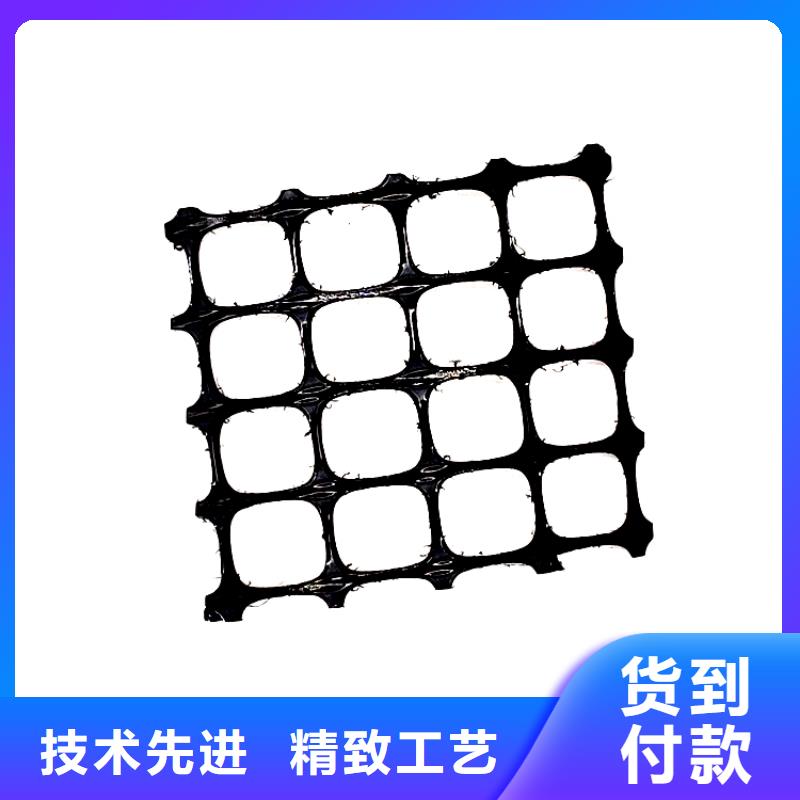 塑料土工格栅,护坡土工网应用广泛