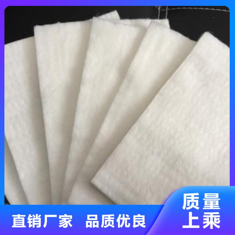 土工布双向塑料格栅专业按需定制