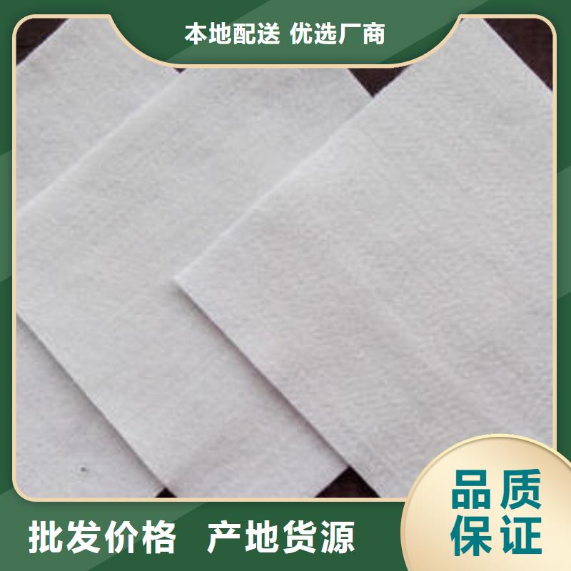 土工布玻纤土工格栅实力雄厚品质保障