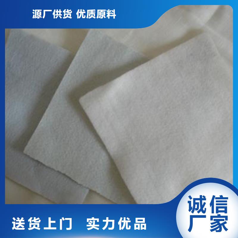 土工布双向塑料格栅专业按需定制