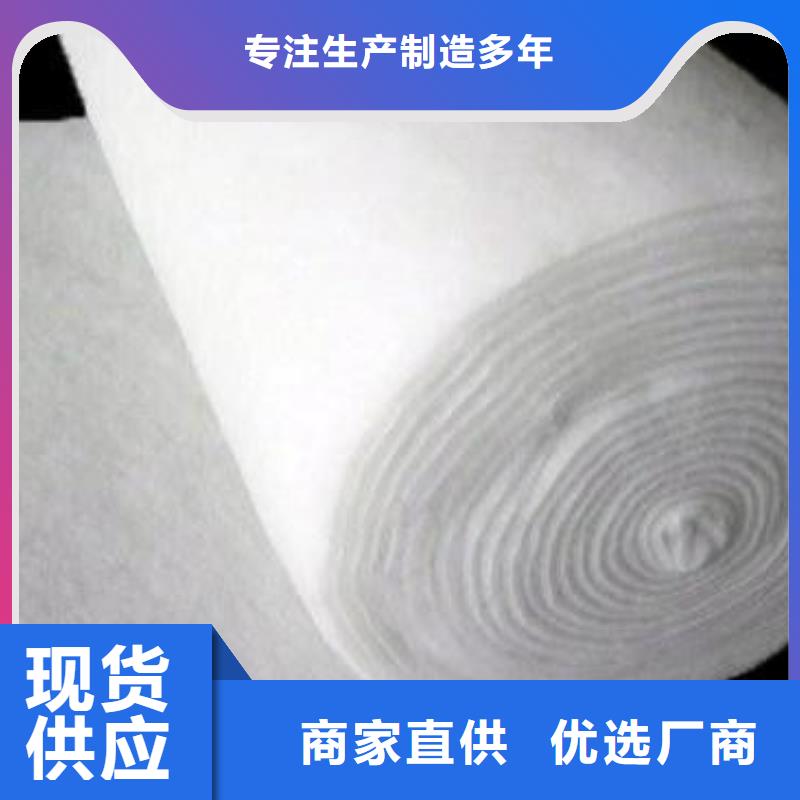 土工布双向塑料土工格栅质优价廉