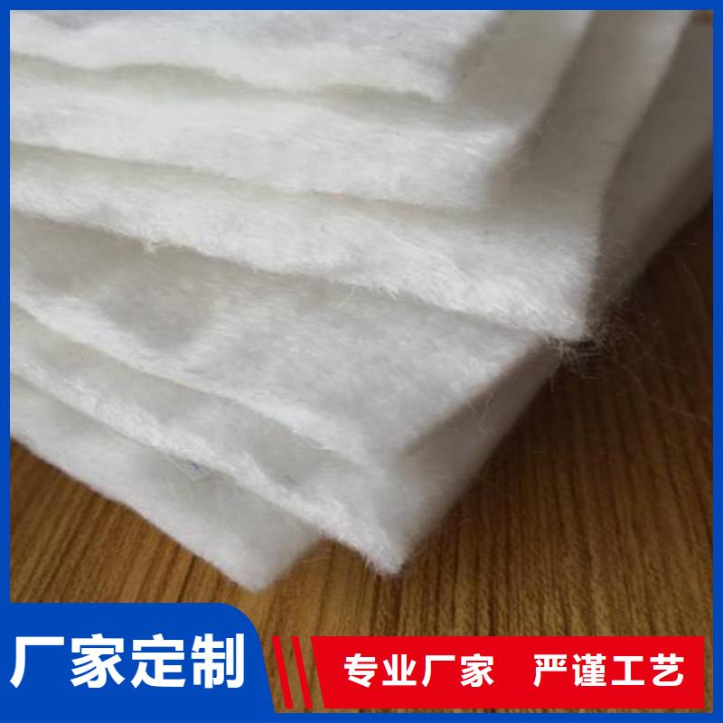 土工布凸结点钢塑土工格栅质量安心