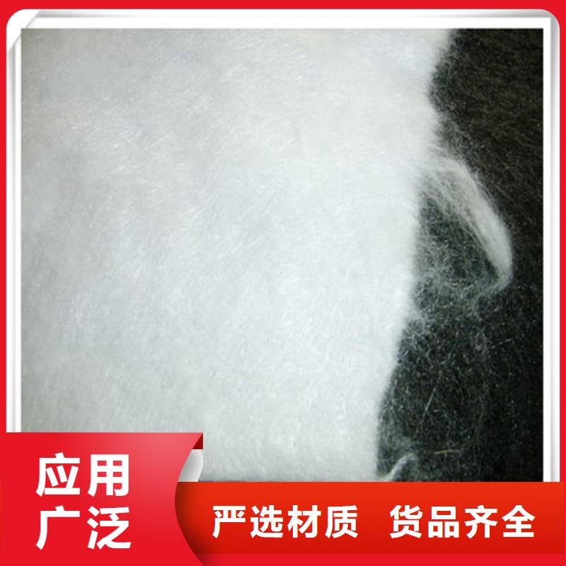 土工布双向塑料土工格栅质优价廉