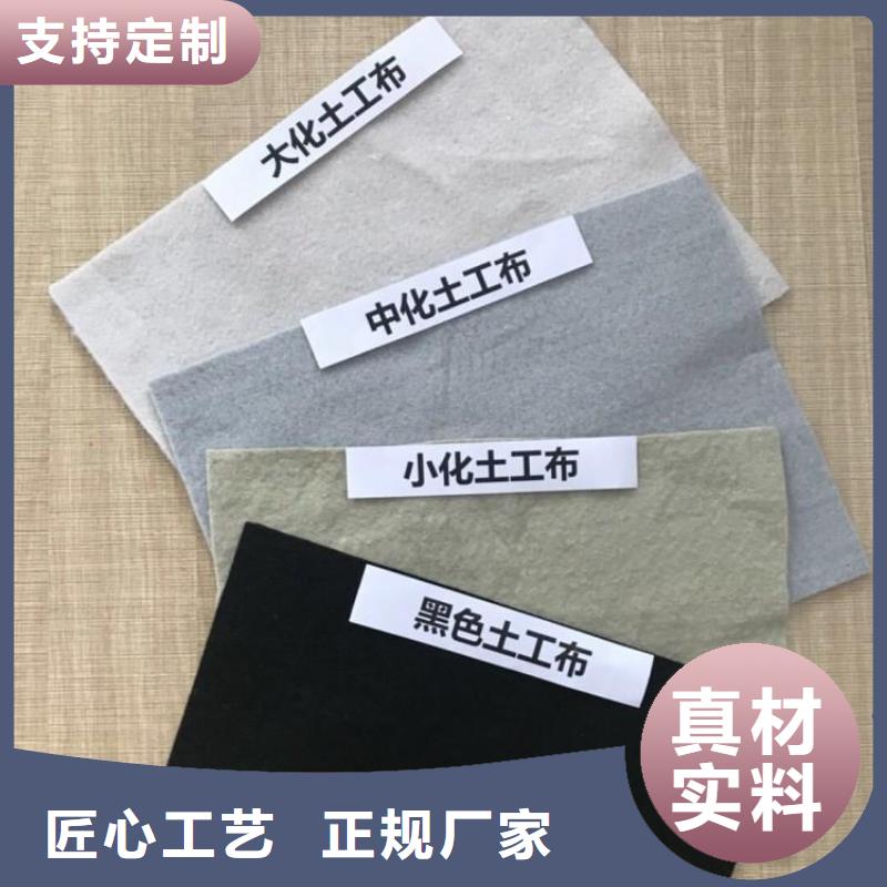 土工布双向塑料土工格栅专业按需定制