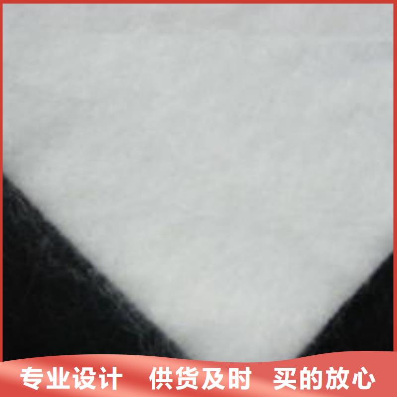 土工布涤纶格栅专注生产N年