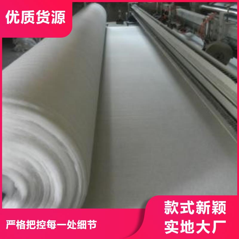 土工布双向塑料土工格栅质优价廉