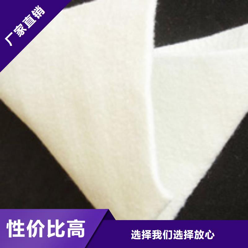 三维土工网垫视频-三维土工网垫_陕西省榆林市市场覆盖清涧|吴堡|咸阳|安康|商洛|汉中|宝鸡|延安|铜川等