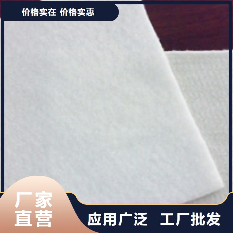 土工布双向塑料土工格栅专业按需定制