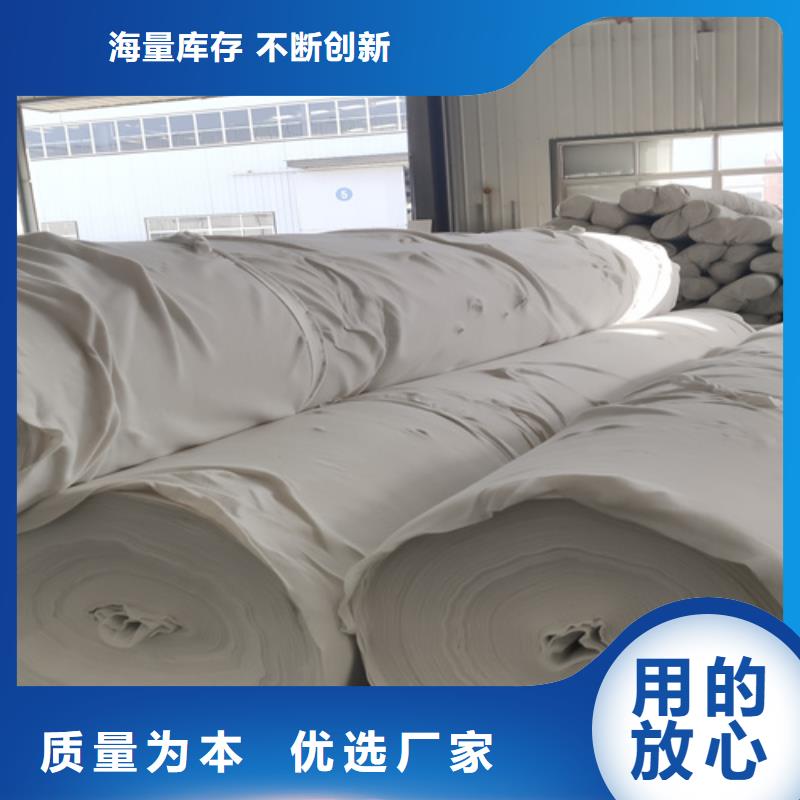 三维土工网垫视频-三维土工网垫_陕西省榆林市市场覆盖清涧|吴堡|咸阳|安康|商洛|汉中|宝鸡|延安|铜川等