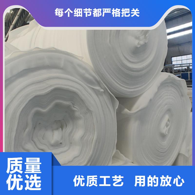 土工布三维土工网垫支持批发零售