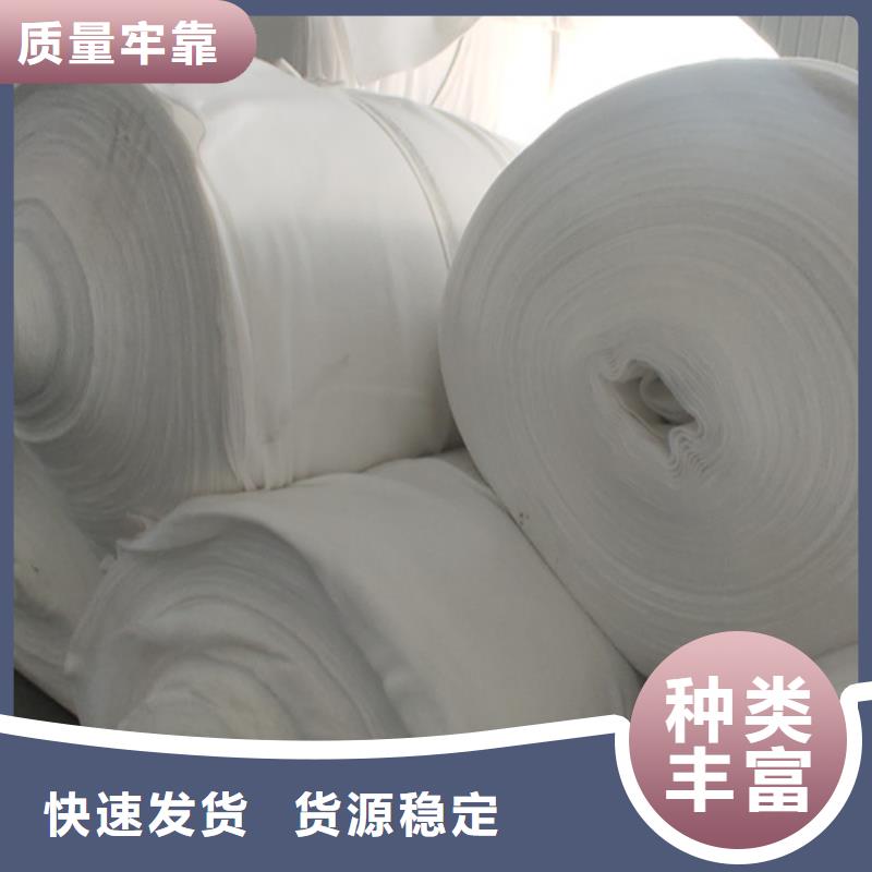 土工布涤纶格栅专注生产N年
