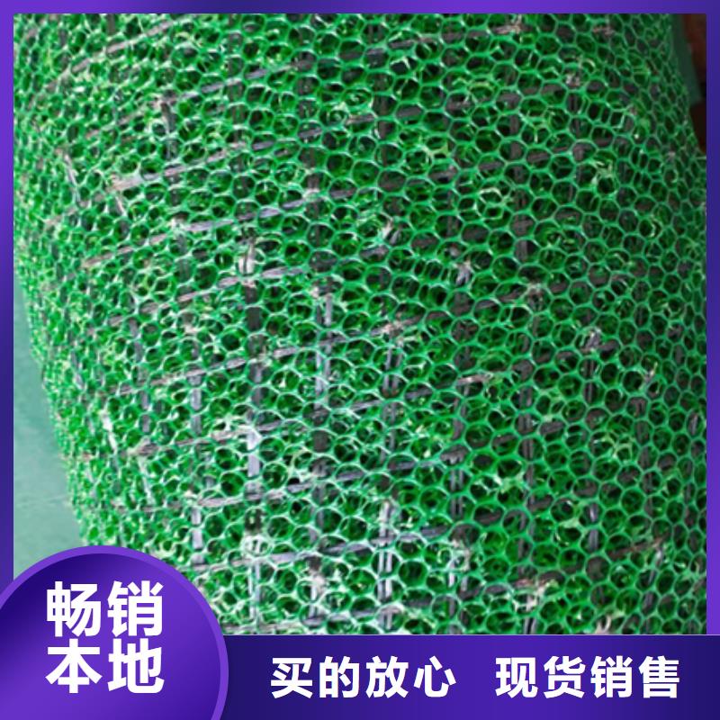 三维植被网_三维土工网垫有实力有经验