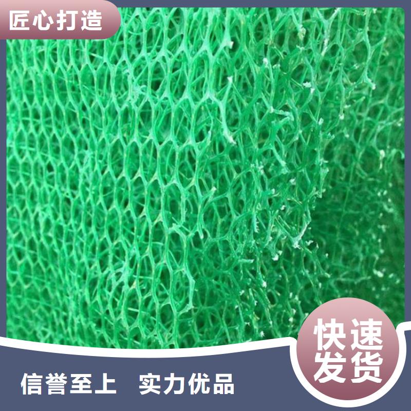 【三维植被网】-单向塑料格栅真材实料加工定制