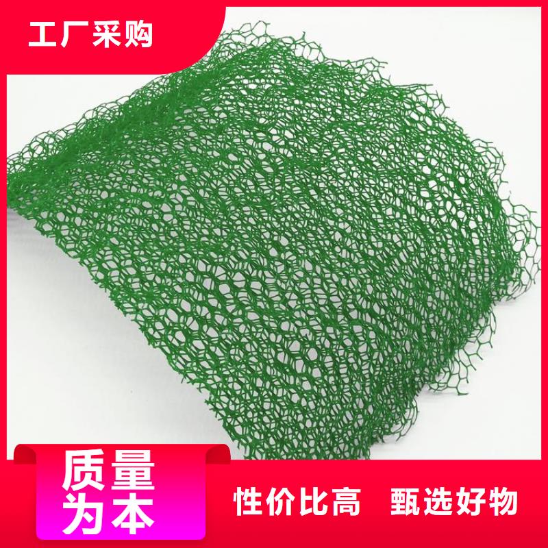 三维植被网HDPE土工膜专注生产制造多年