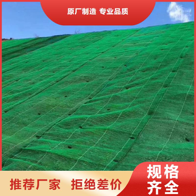 【三维植被网】-单向塑料格栅真材实料加工定制