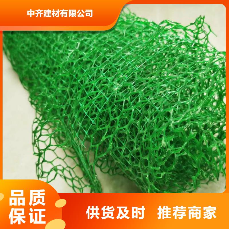 三维植被网无纺布厂家十分靠谱