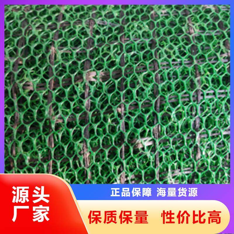 三维植被网HDPE土工膜专注生产制造多年
