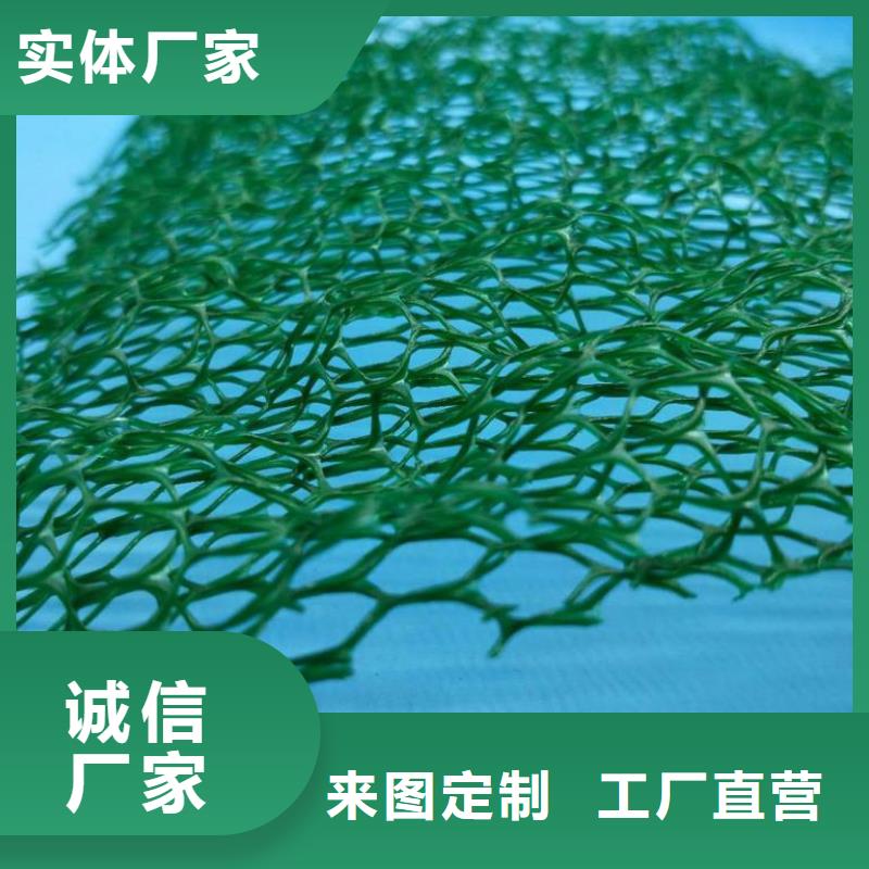 三维植被网无纺布厂家十分靠谱