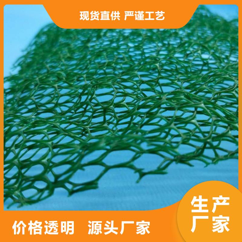 【三维植被网】-单向塑料格栅真材实料加工定制