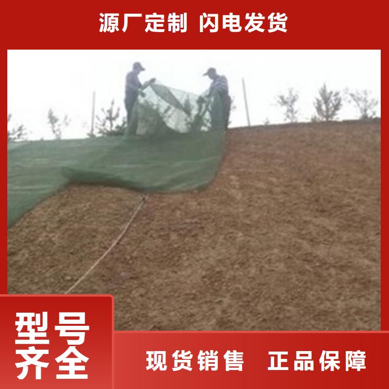 三维植被网-双向塑料土工格栅0中间商差价