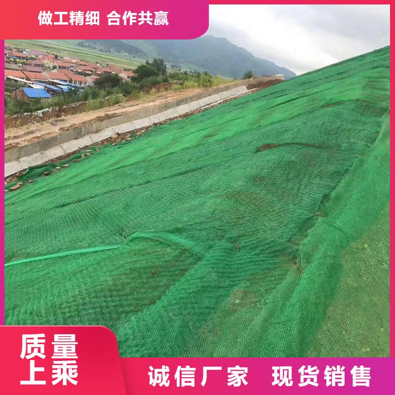 三维植被网HDPE土工膜专注生产制造多年