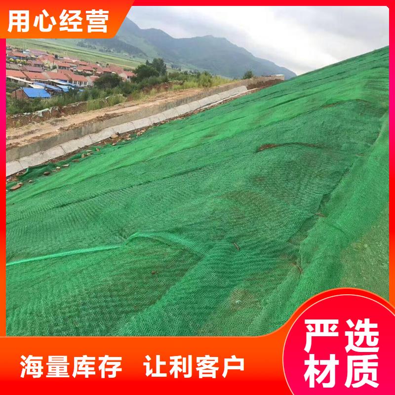 三维植被网护坡土工网详细参数