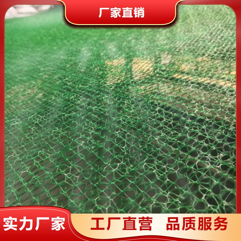 三维植被网无纺布厂家十分靠谱