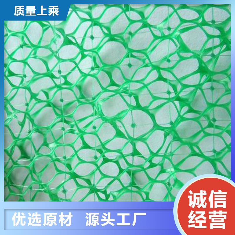 三维植被网HDPE土工膜专注生产制造多年