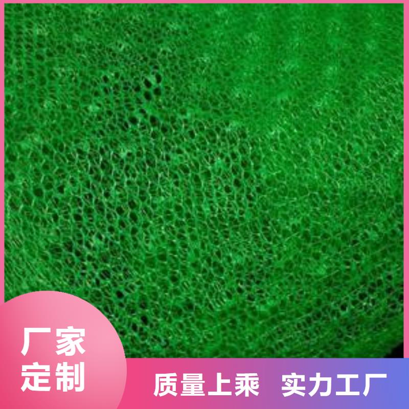 三维植被网,涤纶格栅拥有多家成功案例