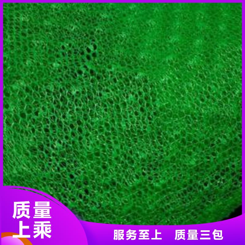 三维植被网无纺布厂家十分靠谱
