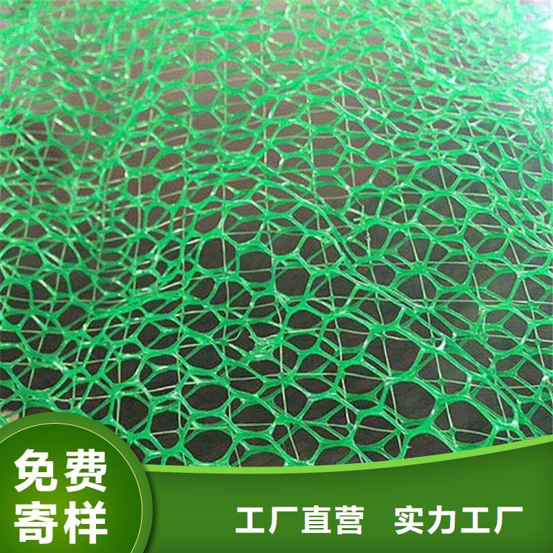 三维植被网护坡土工网详细参数