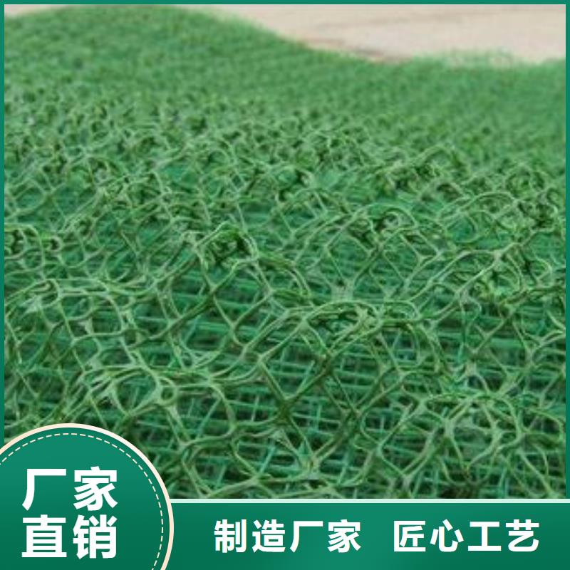 三维植被网复合土工膜今日价格