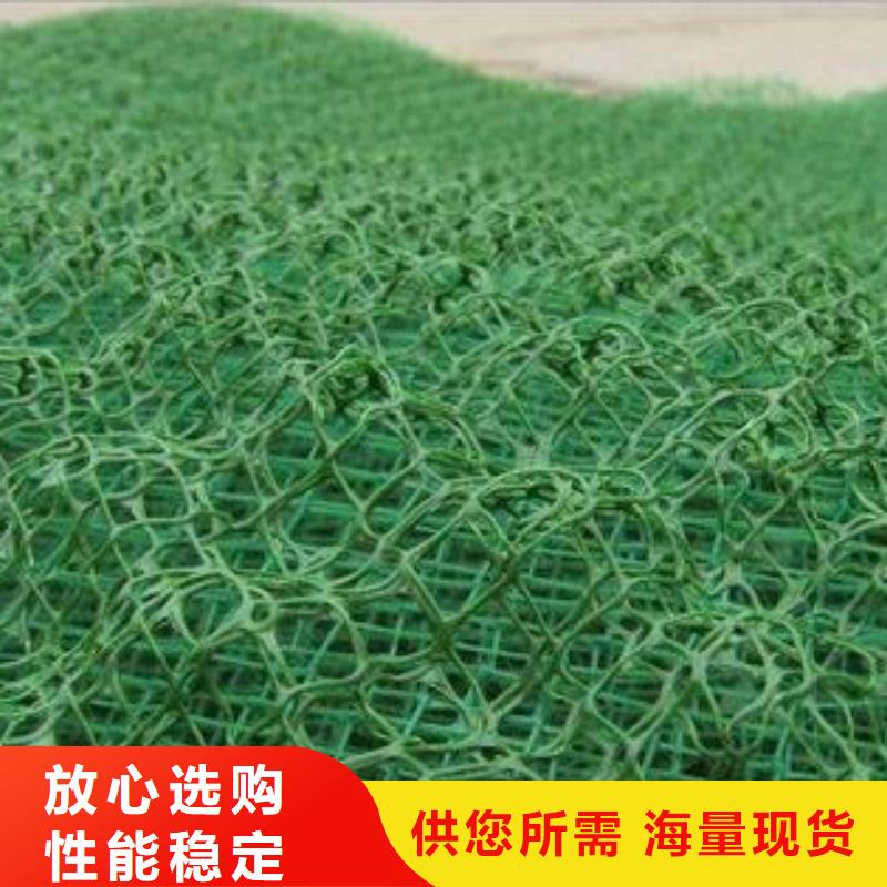 三维植被网无纺布厂家十分靠谱
