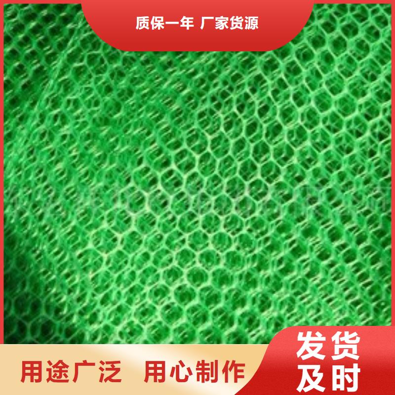 三维植被网,涤纶格栅拥有多家成功案例