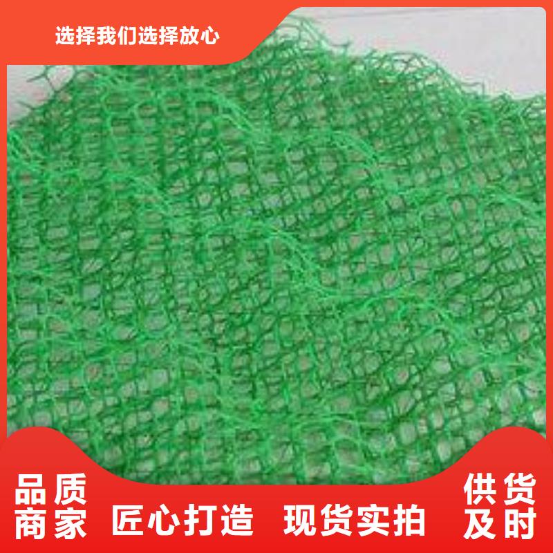 三维植被网无纺布厂家十分靠谱