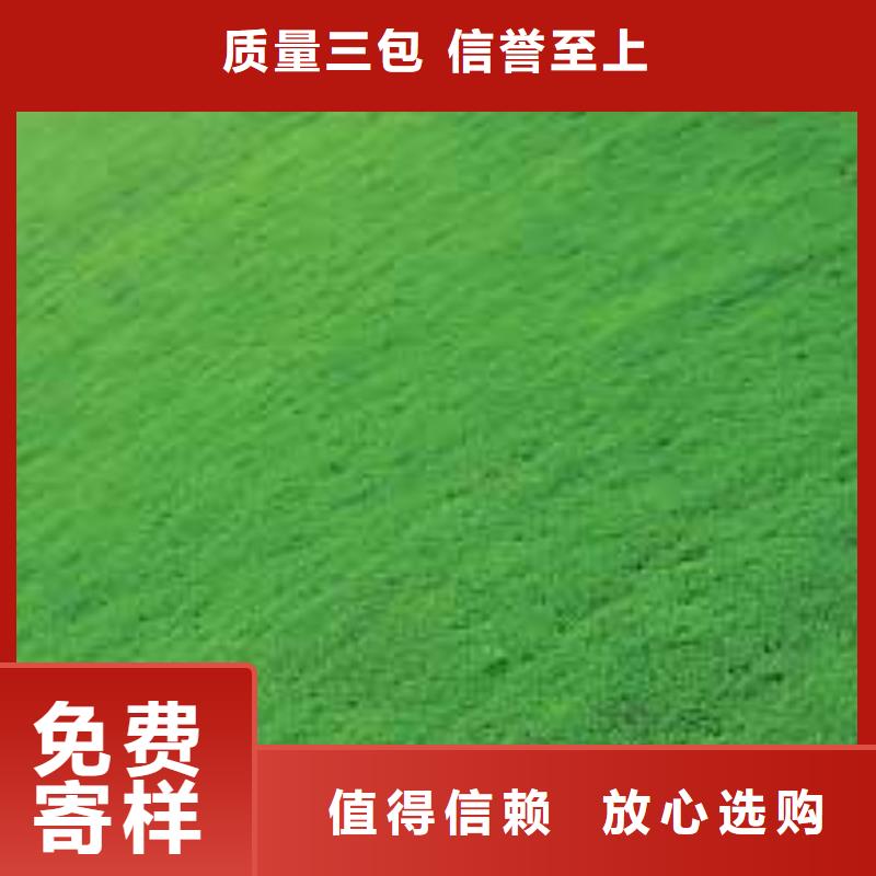三维植被网HDPE土工膜专注生产制造多年