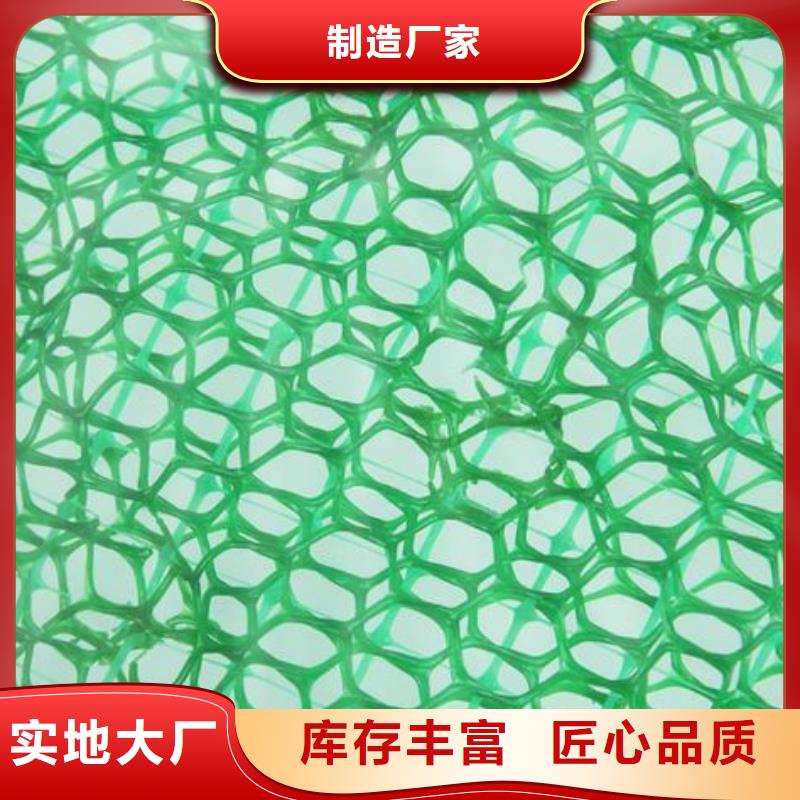 三维植被网,涤纶格栅拥有多家成功案例