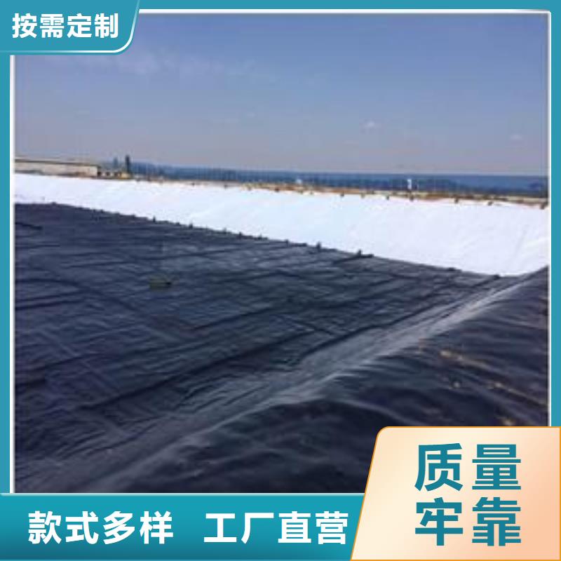 土工膜【双向塑料格栅】厂家