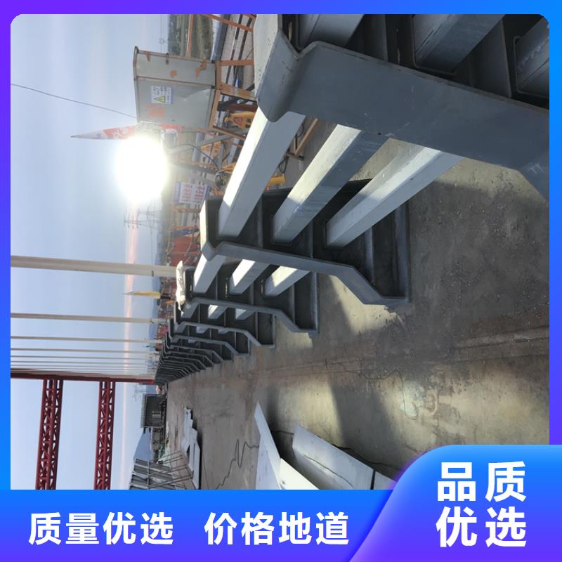 桥梁护栏_市政道路防护栏拒绝中间商