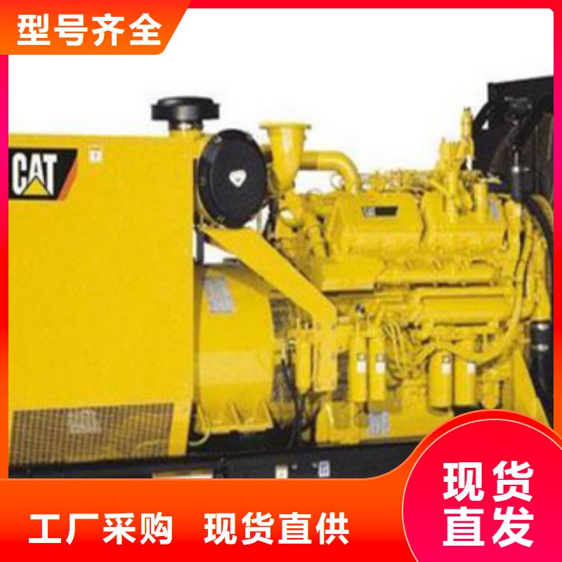 发电机大型发电机出租/租赁 多年行业经验