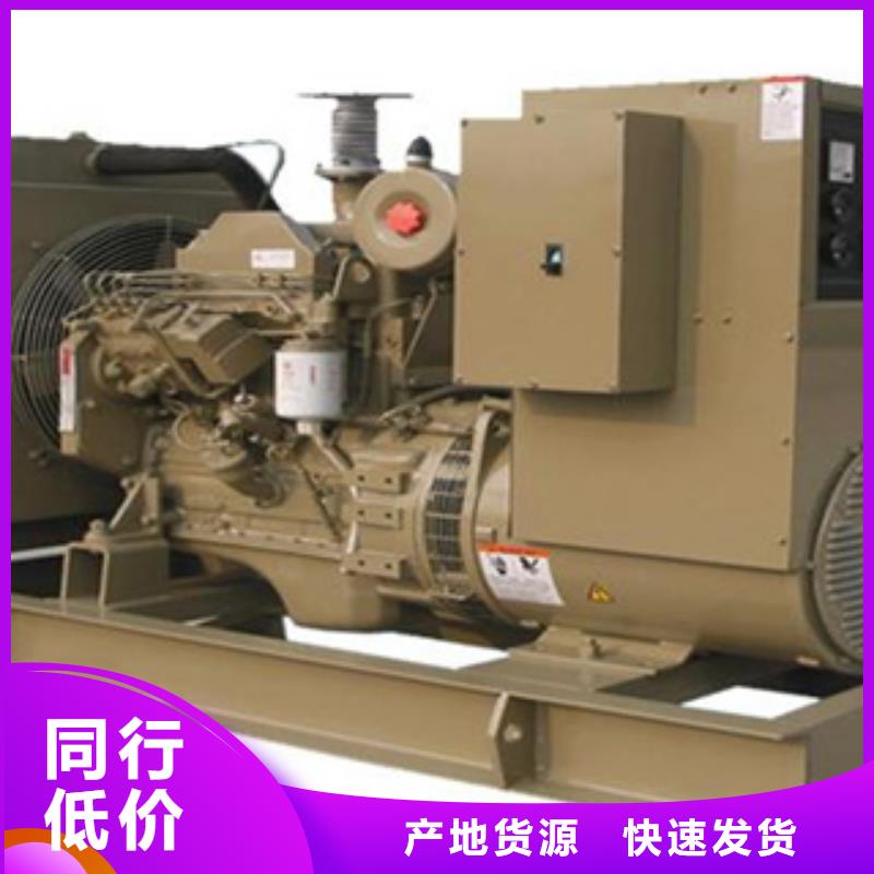 【静音发电机出租大型柴油发电机精品选购】