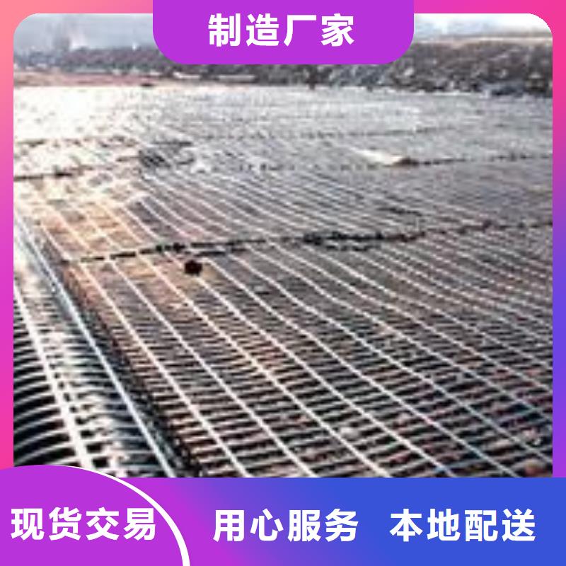 【钢塑土工格栅】涤纶土工格栅真实拍摄品质可靠