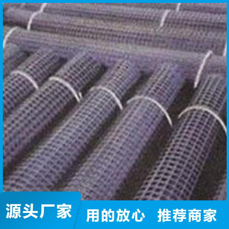 【钢塑土工格栅】涤纶土工格栅真实拍摄品质可靠