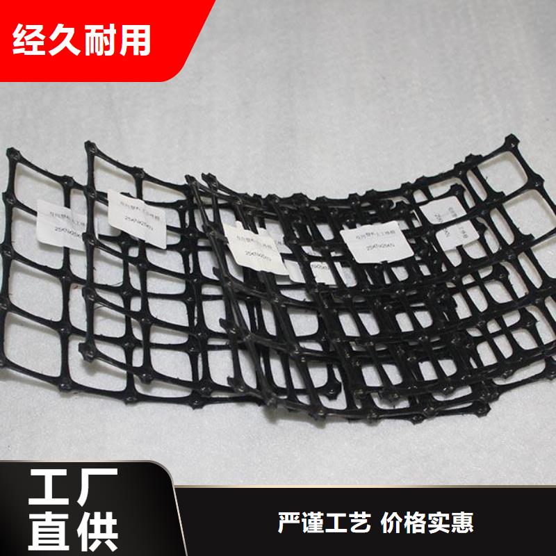 双向塑料土工格栅-三维复合排水网厂家采购
